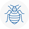Bed Bug Extermination In Walkden